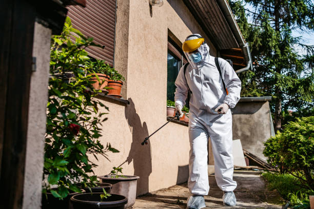 Bird Control in Winter Garden, FL