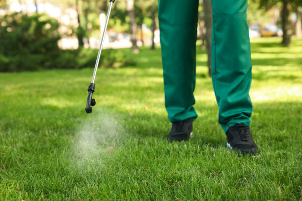 Best Wasp Removal Services  in Winter Garden, FL