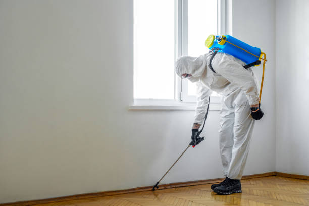 Best Termite Control Services  in Winter Garden, FL