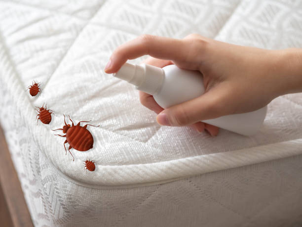 Best Bed Bug Extermination  in Winter Garden, FL