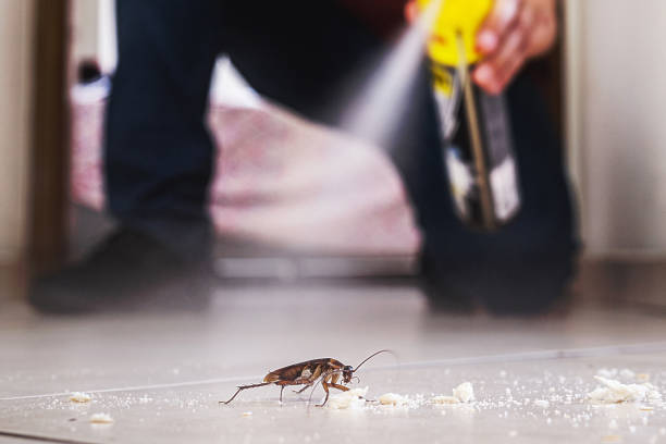 Best Bed Bug Extermination  in Winter Garden, FL