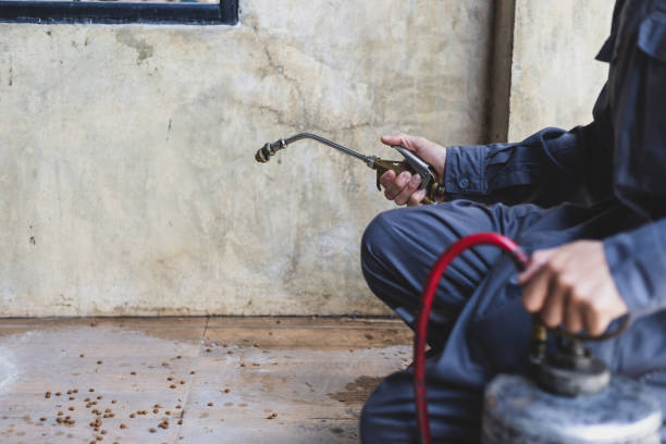 Best Residential Pest Control  in Winter Garden, FL